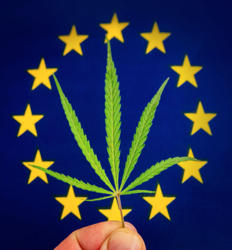 Listo para el mercado europeo y global